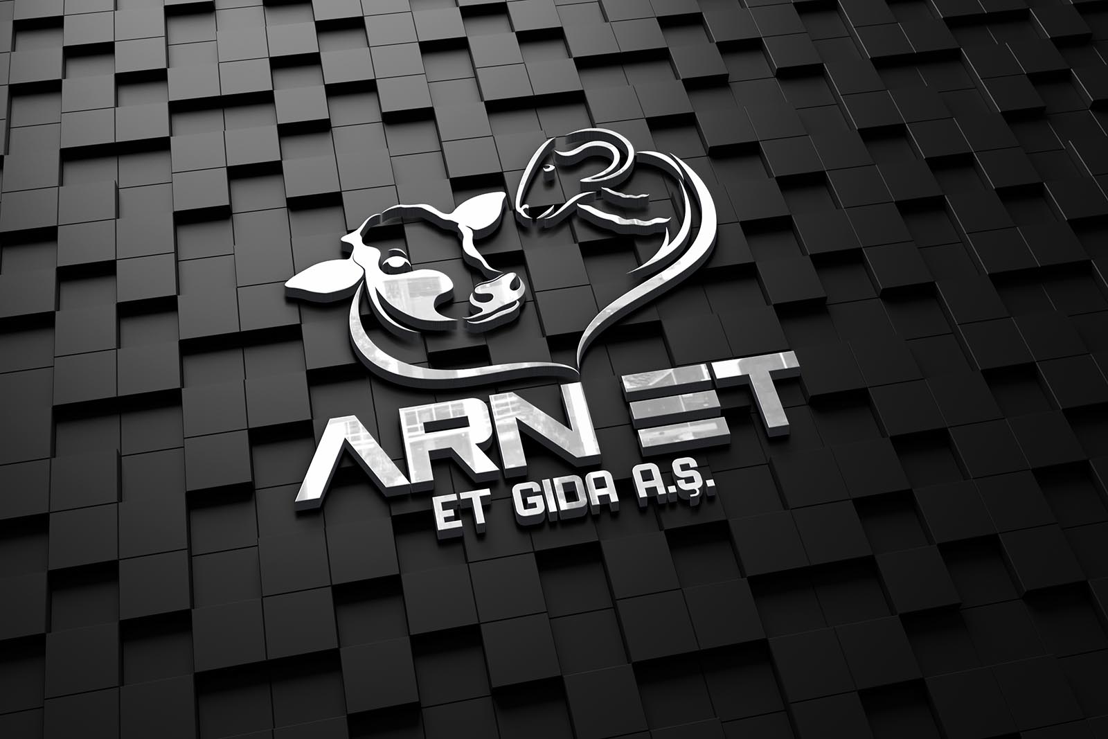 ARN ET Logo Tasarımı