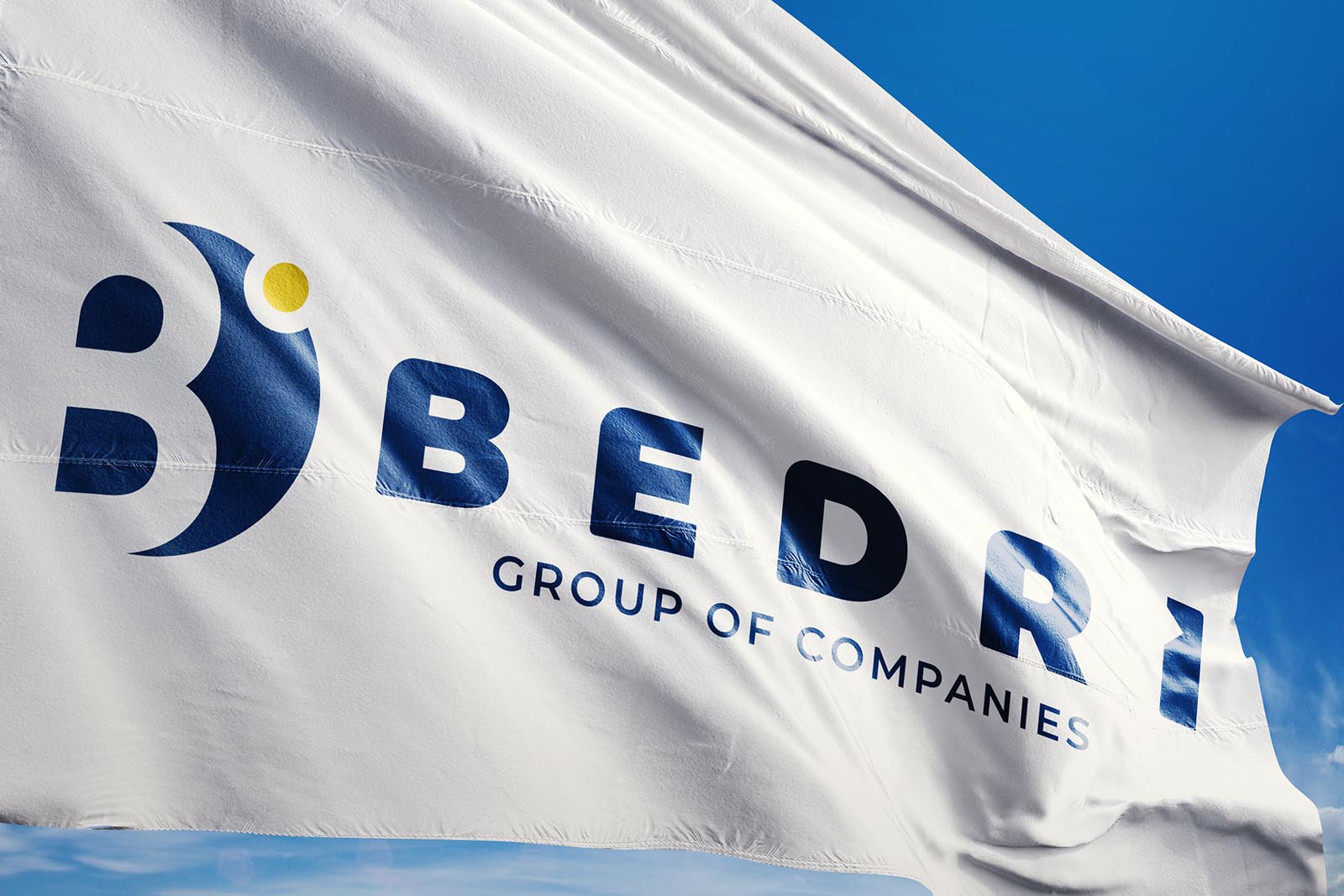 Bedri Group Of Companies Logo Tasarımı