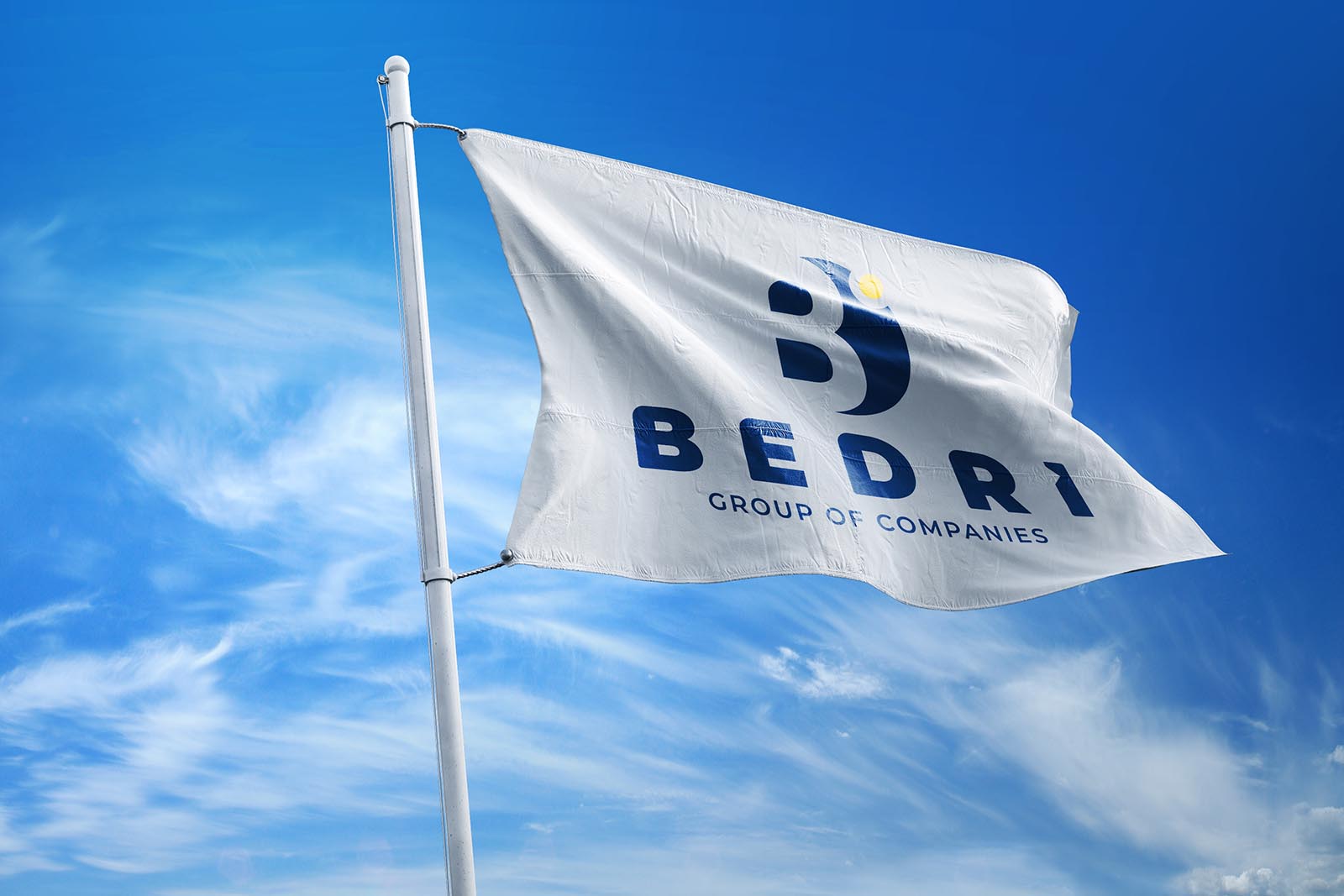 Bedri Group Of Companies Logo Tasarımı