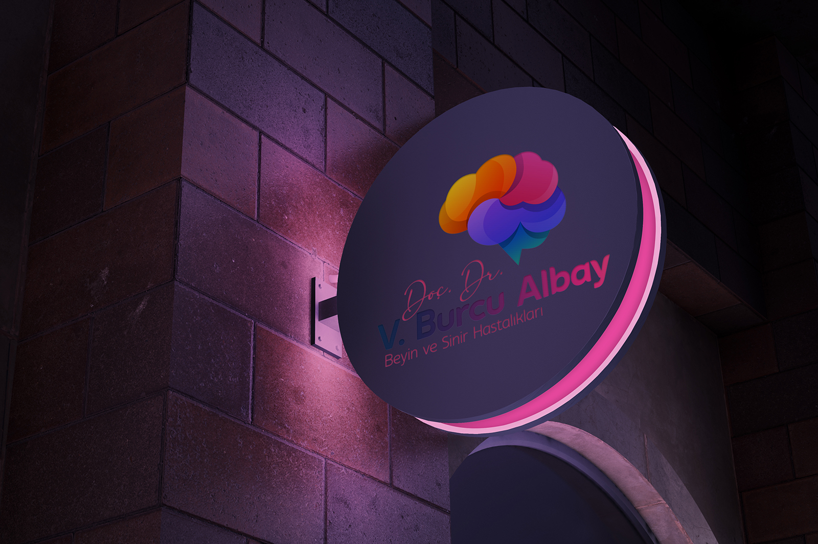 Doç. Dr. V. Burcu Albay Logo & Web Tasarımı