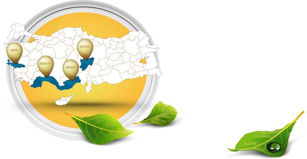Merçağ Lojistik