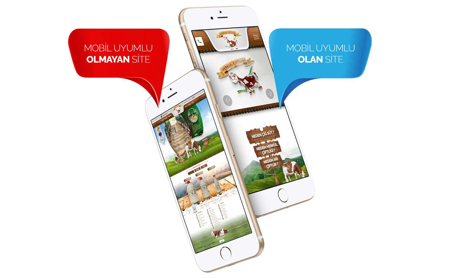 Responsive Tasarım Nedir ?